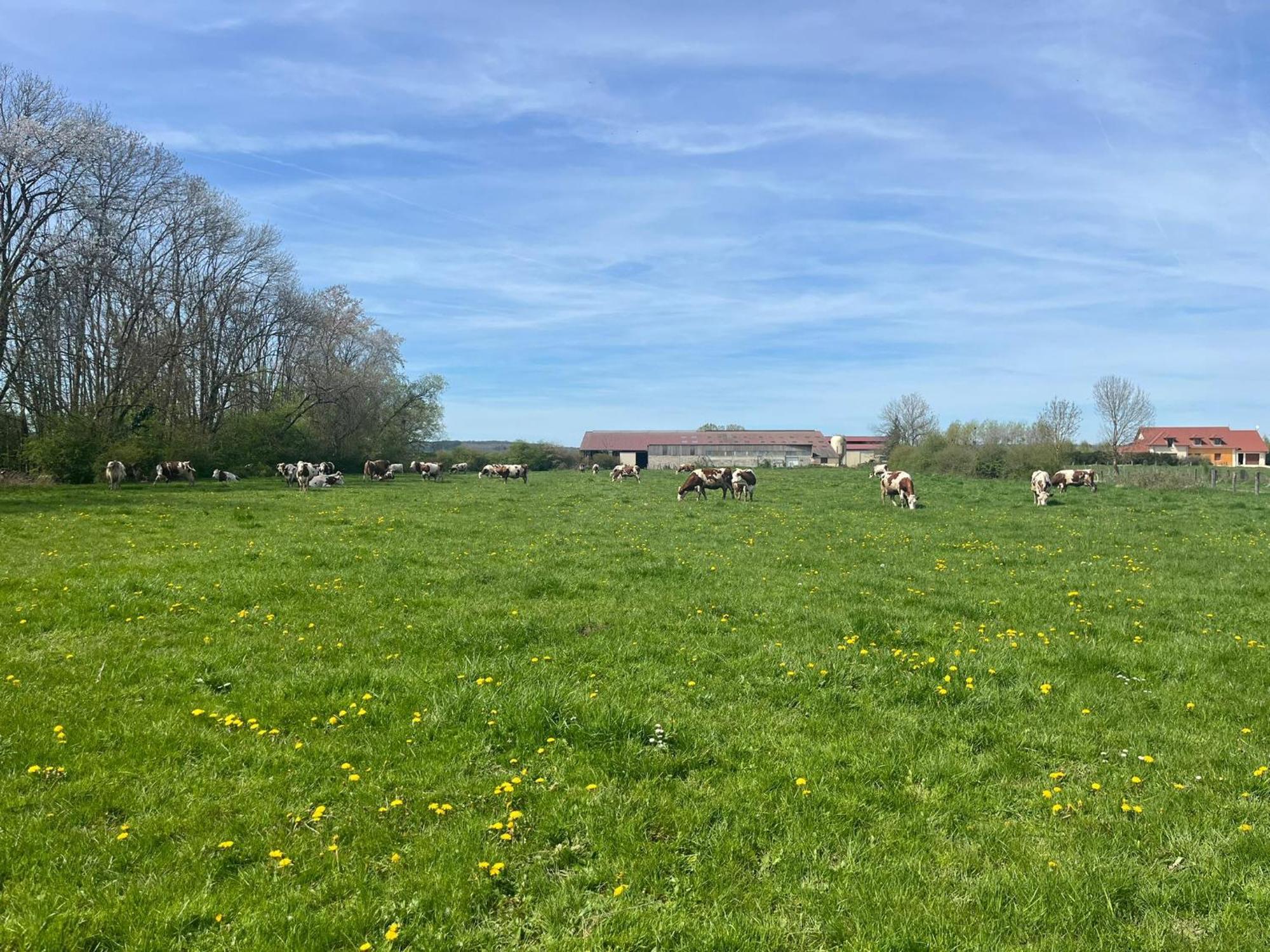 Studio Au Coeur De La Vannerie Fays-Billot Exteriér fotografie